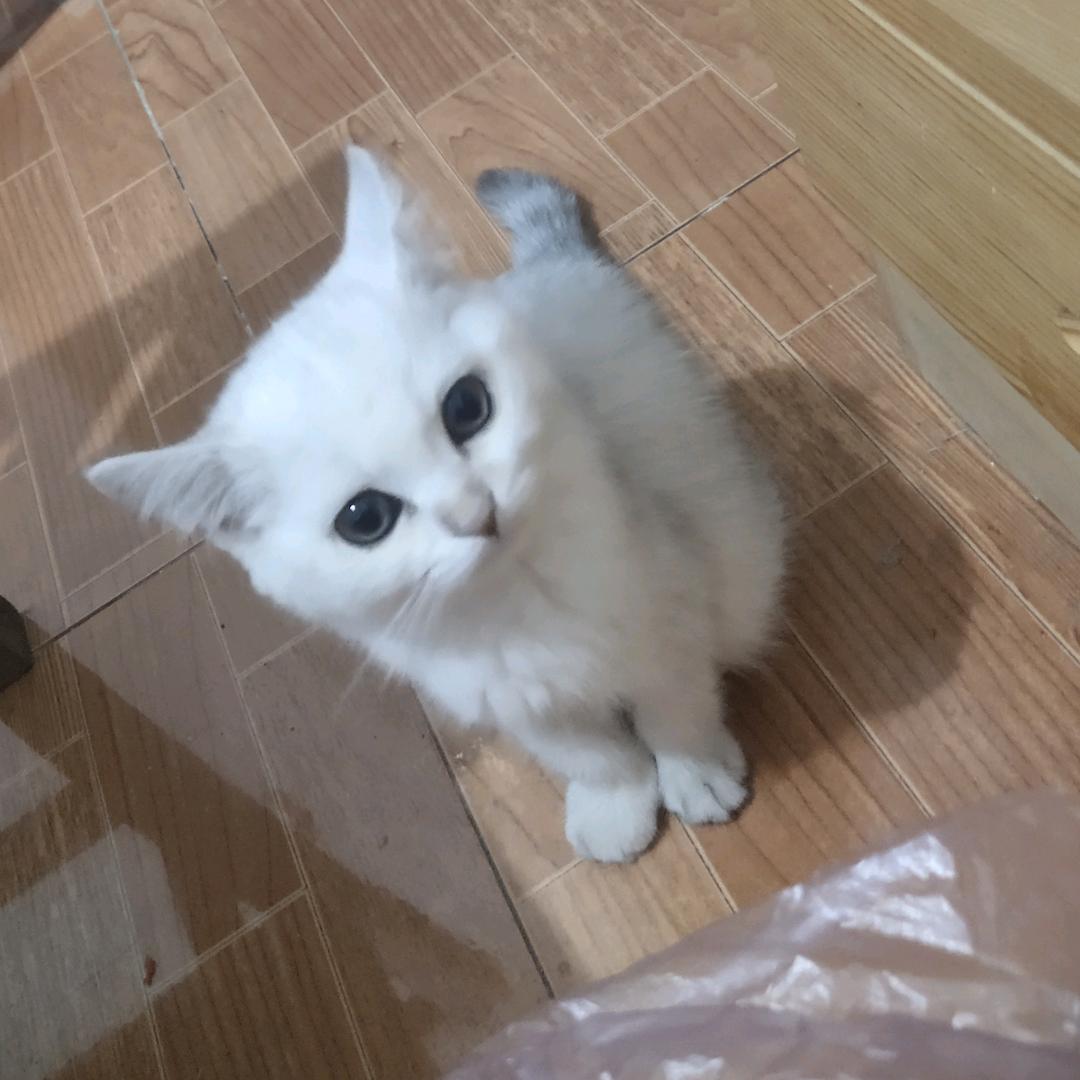 清风小卖部