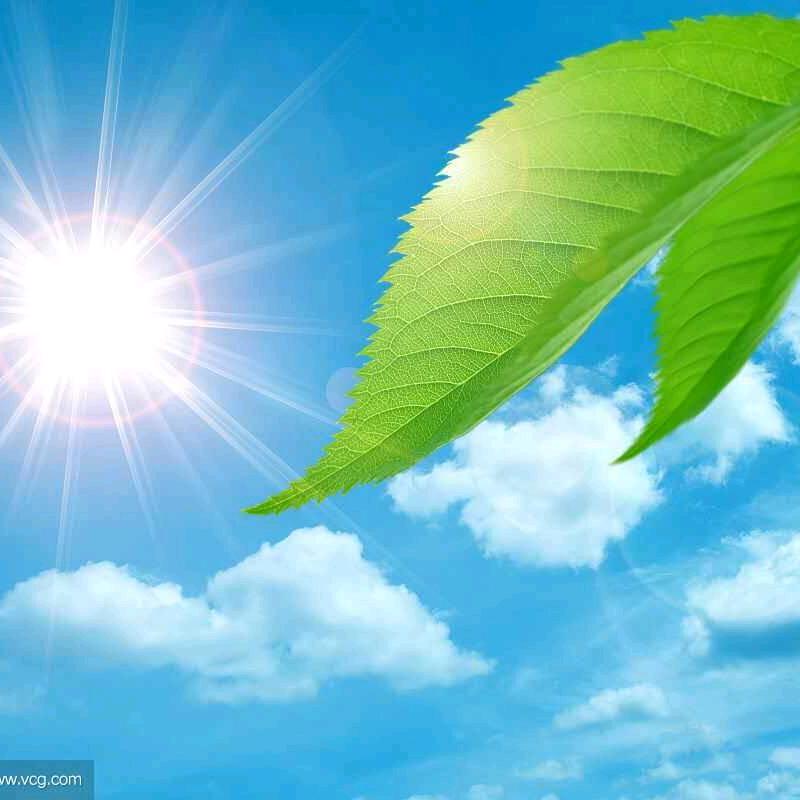 用户8822117052608祥云