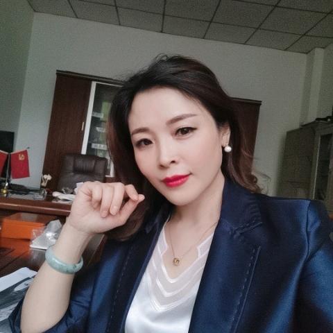 成都DS国际家居_狄思高定