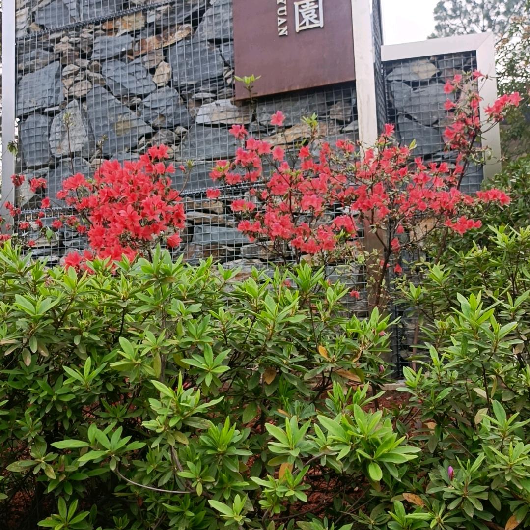 财神爷5（开播号财神爷8）22：18分