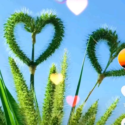 用户7293534975568童妈