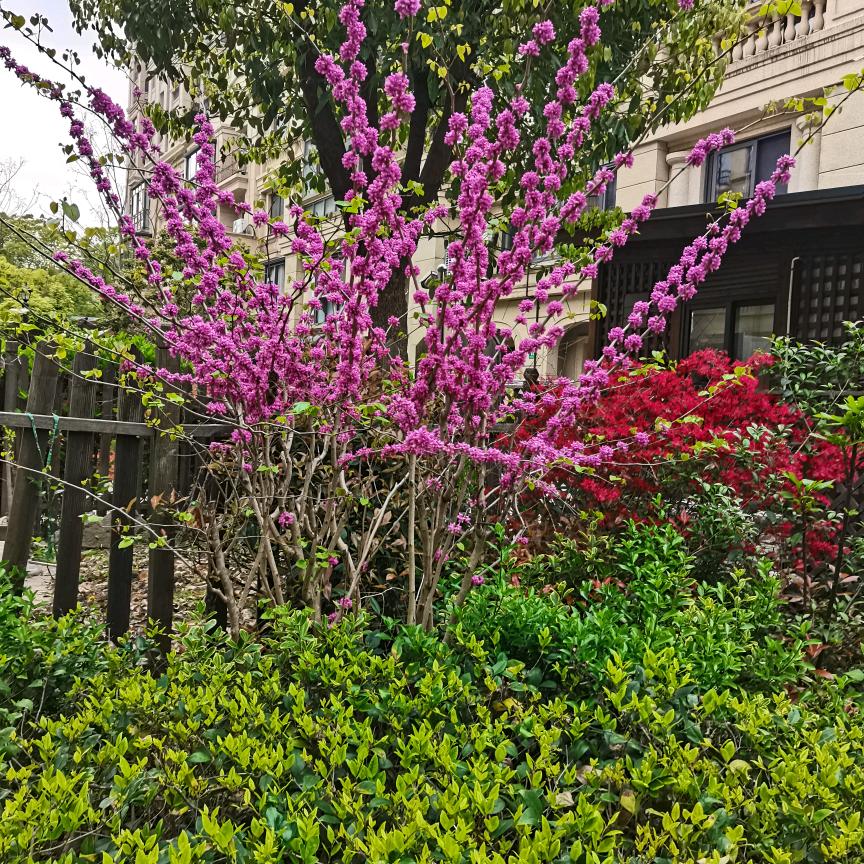 (｡･ω･｡)雅🌺👄☘️