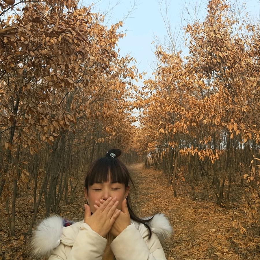 灰姑娘