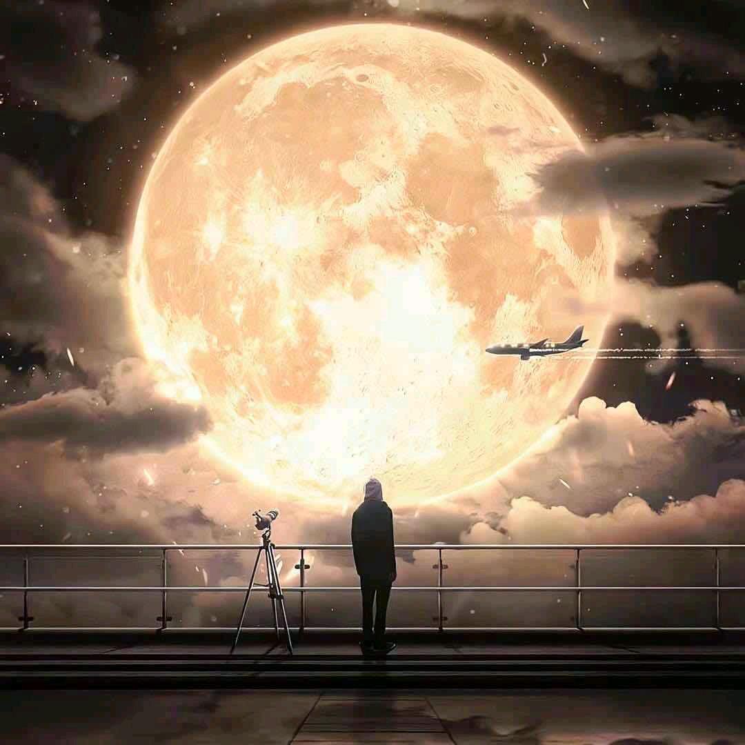 秋风瑟瑟日渐凉