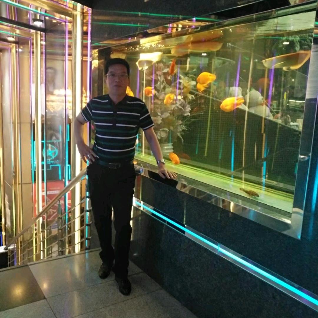 杨歌得亿