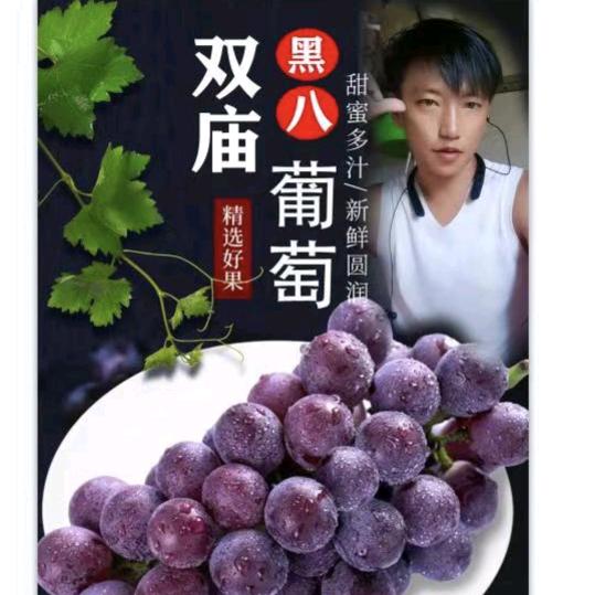 双庙葡萄园《黑八》