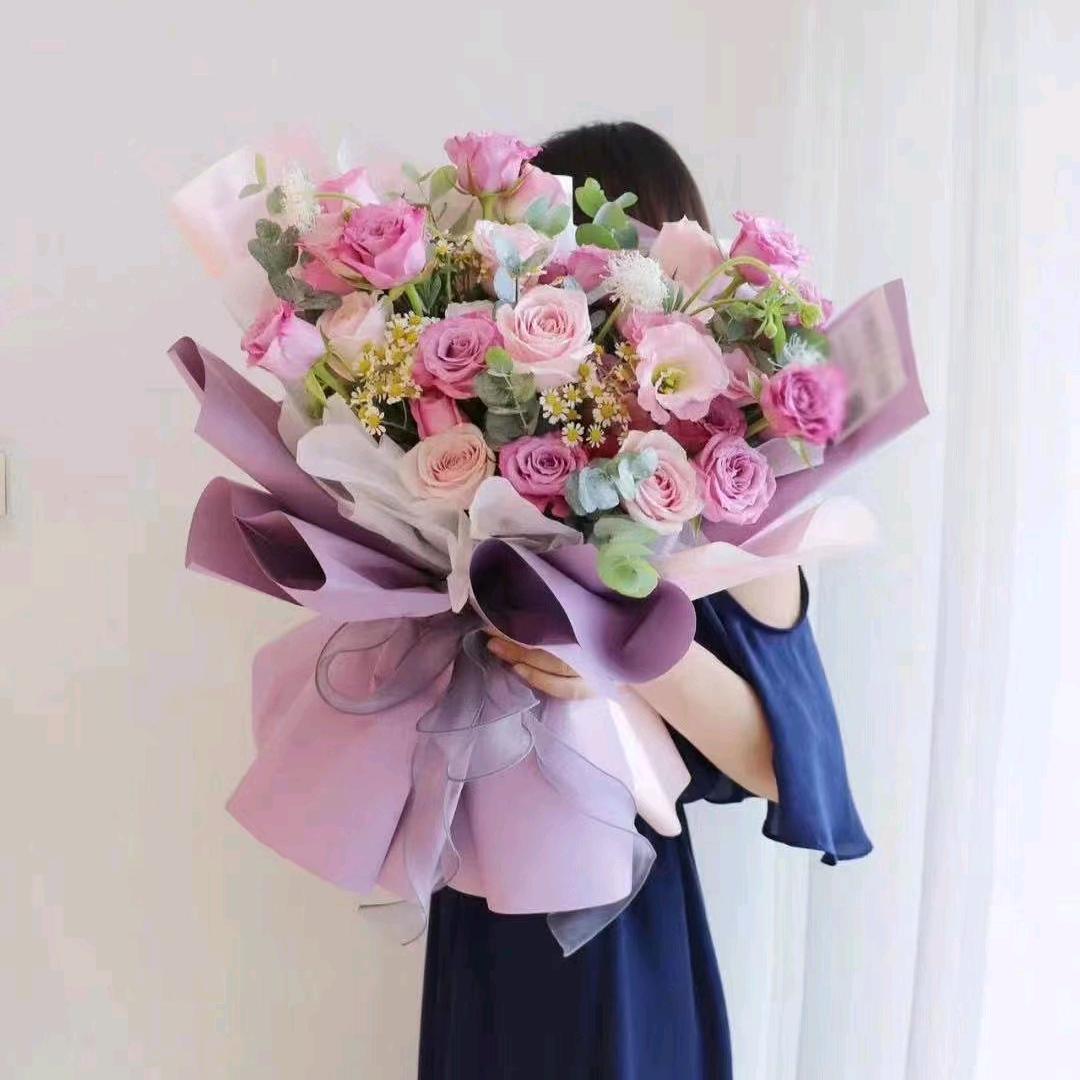 紫臻