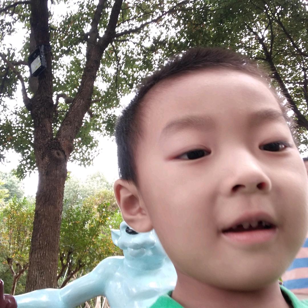李，🍀🍀快乐每一天