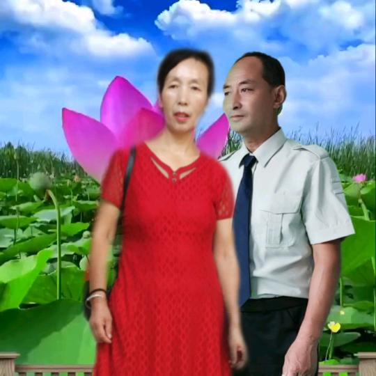 自由飞翔飞翔飞翔