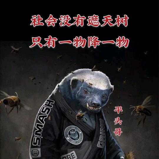 邯好有你，才不孤郸。