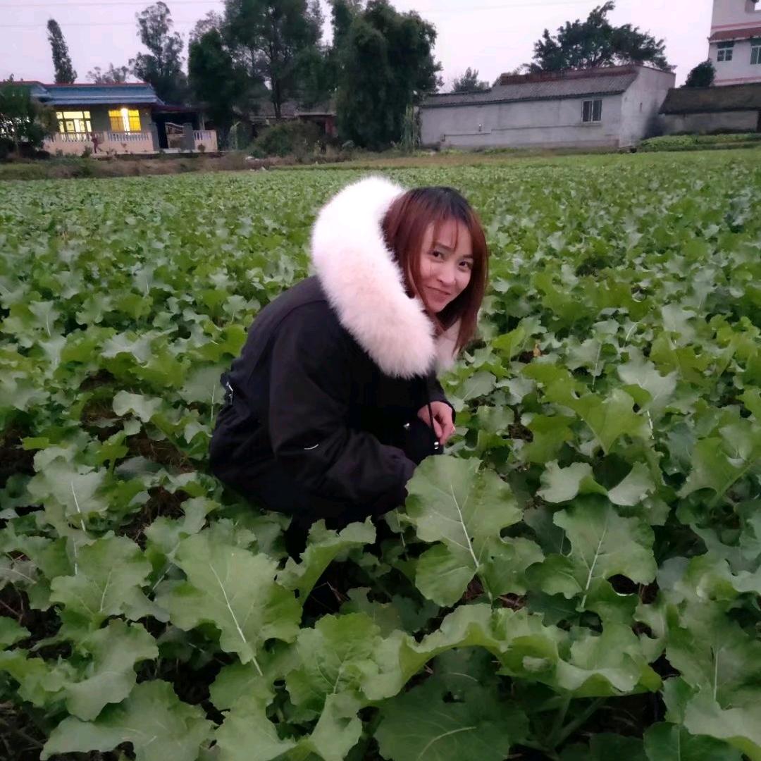 一九八一一二二六