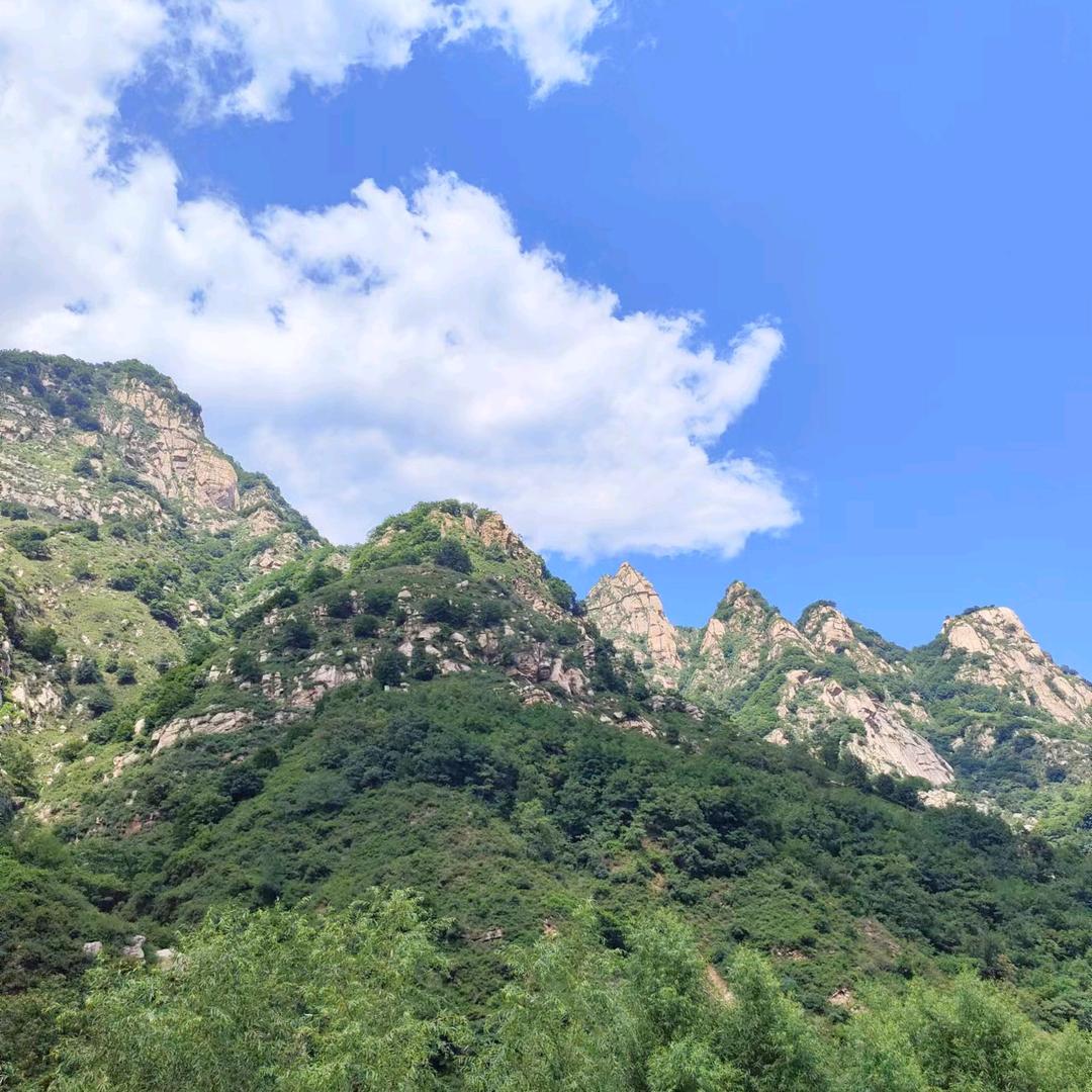尛麦芽丶