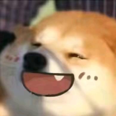 𝙆𝙞𝙩𝙩