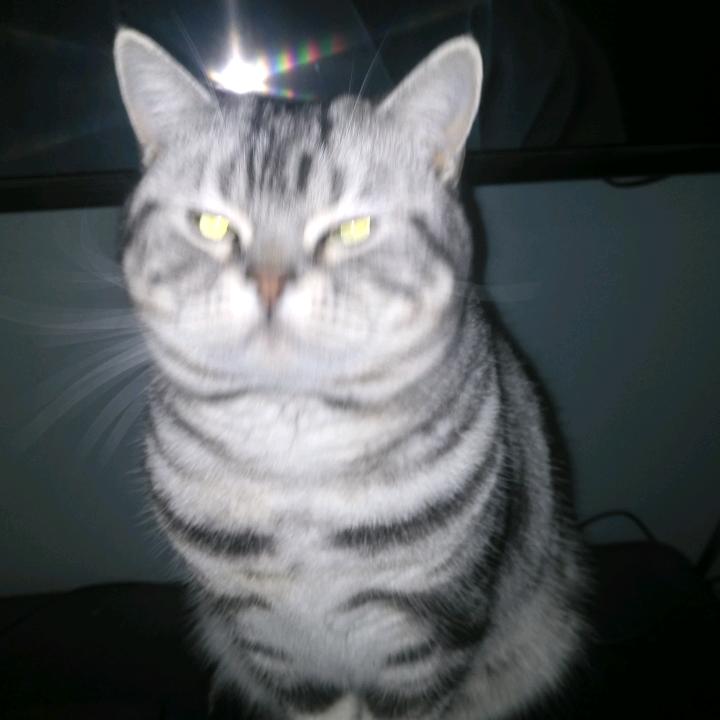 湘潭鸿跃装饰工程有限公司