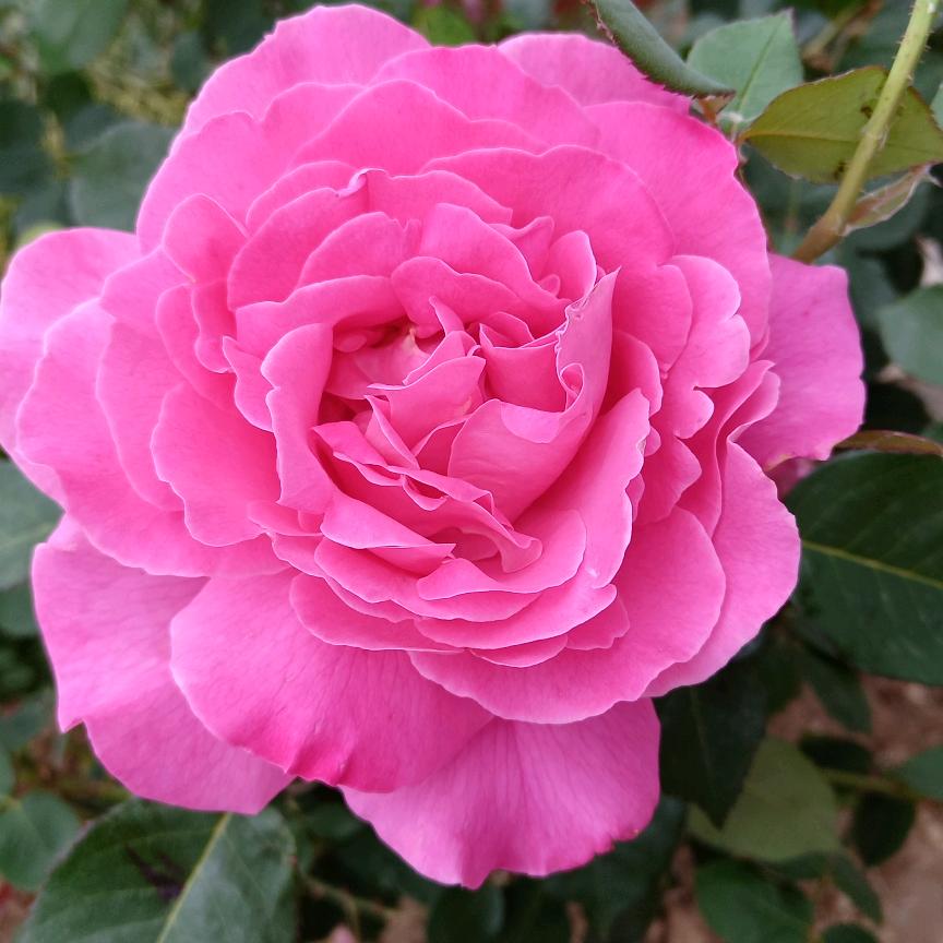 高高兴兴美一天