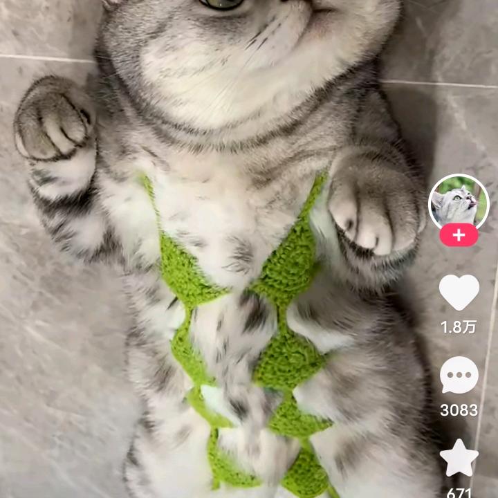 镇赉水暖