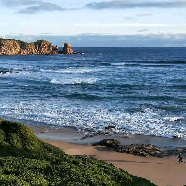 顺其自然1626481745285