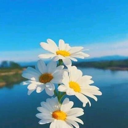 忘掉我是谁🎤