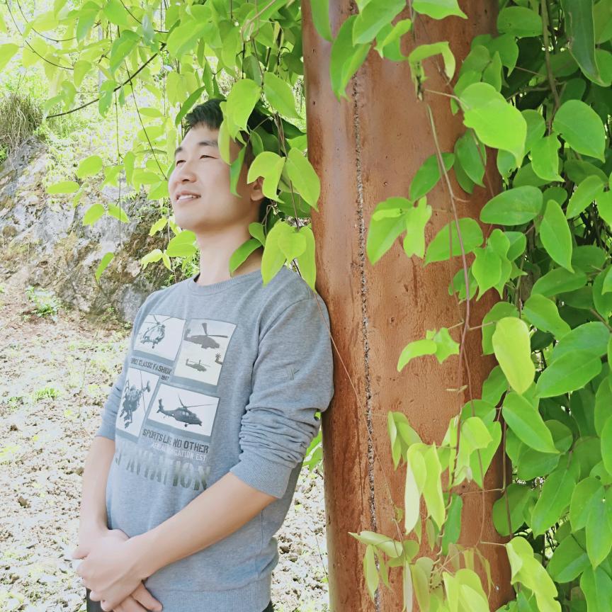 桑梓