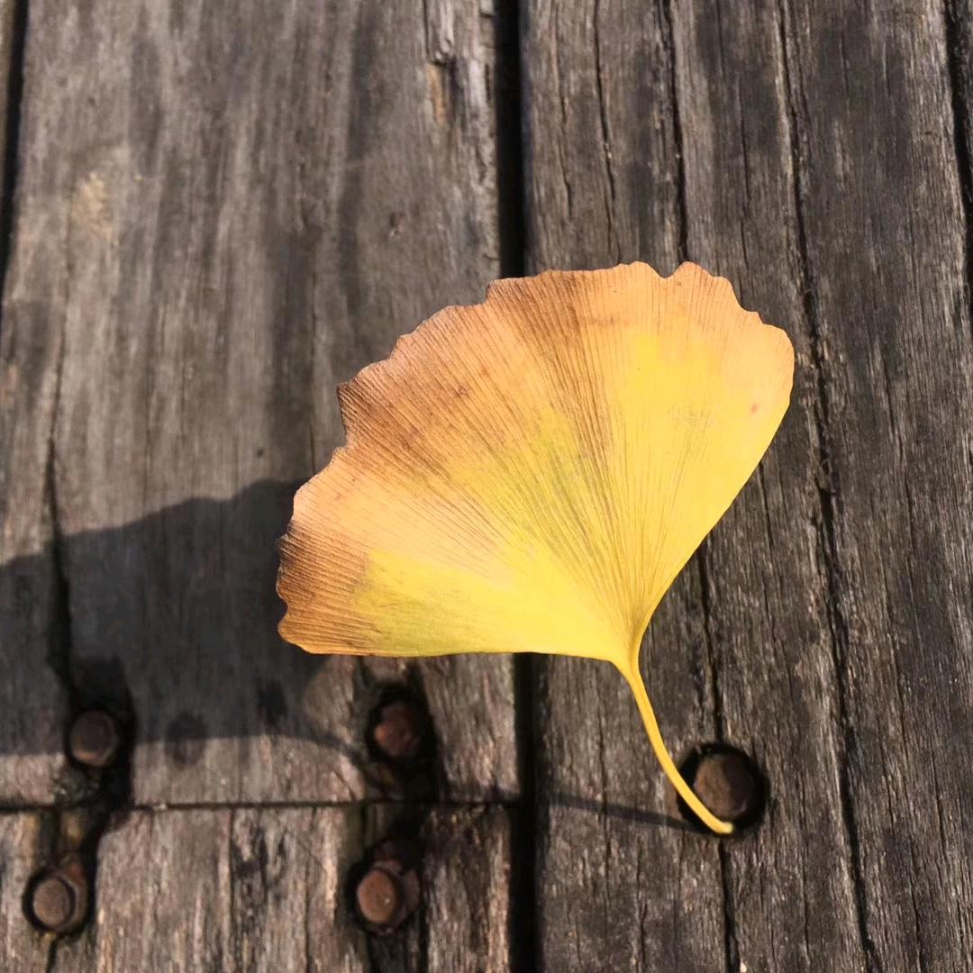 专场白