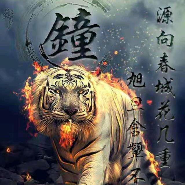 孤独的人……憨憨