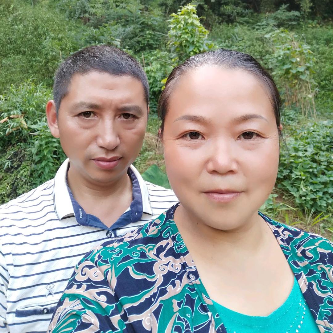 刘大姐的黄老五