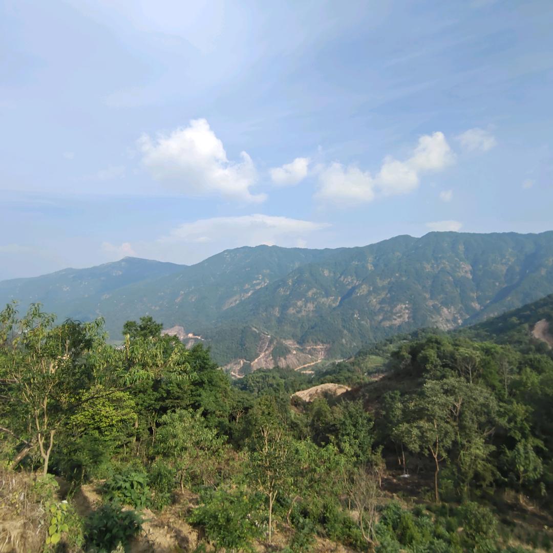 生态汪河