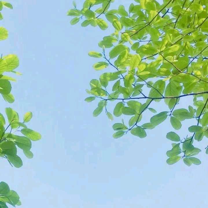 夏天的南风