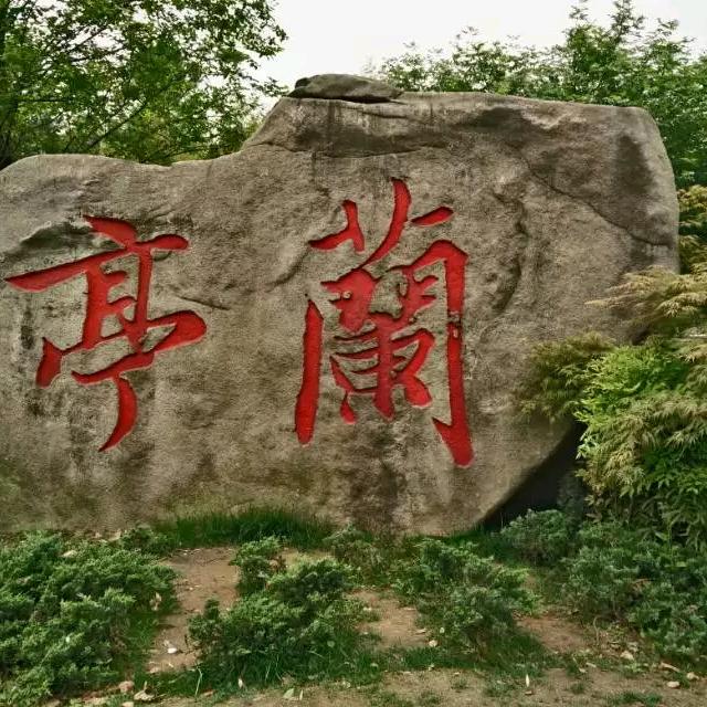 奶酪大大