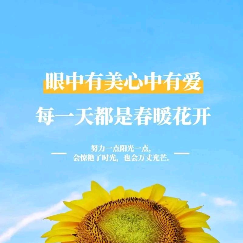 ℳ๓一介俗人°