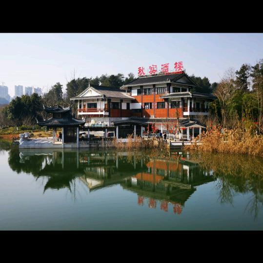 红城哥（手机摄影）