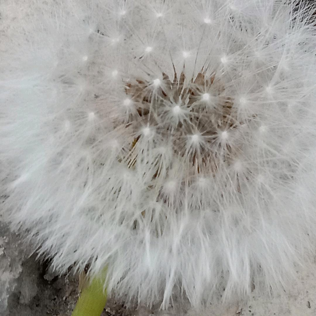 暧心