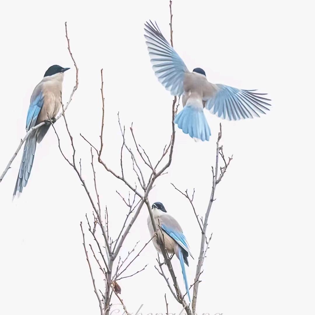 💞༊এ᭄ꦿ꯭ꫛ鑫赵布萱꧔ꦿএ᭄💕