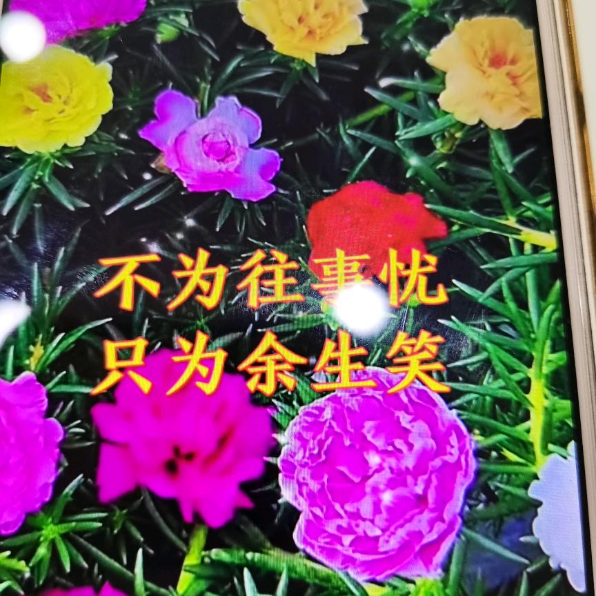 容姨