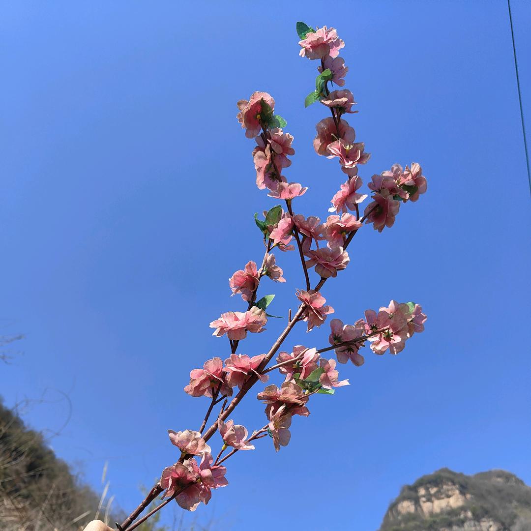 🍀张张自喜🍀