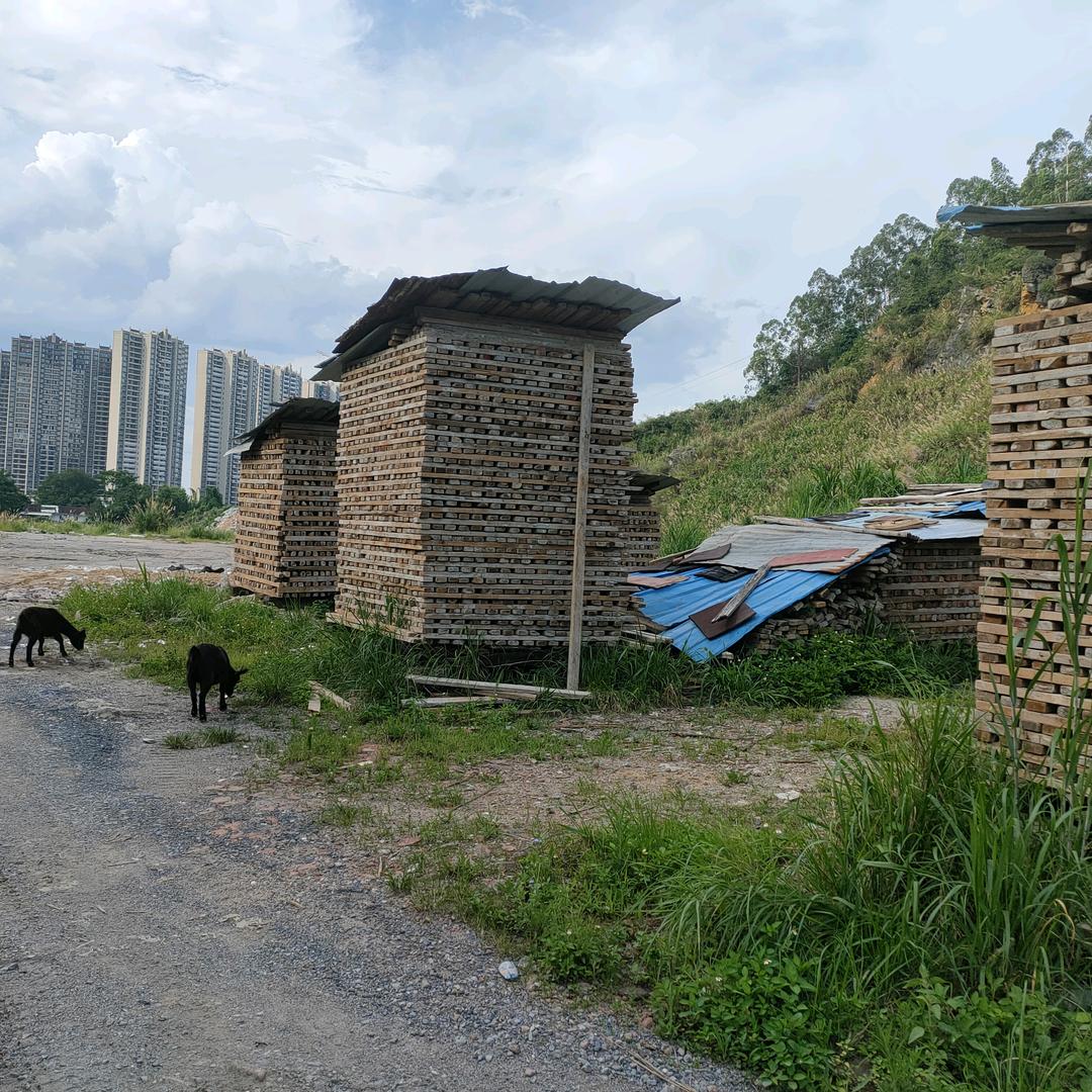 西连隧道口建筑材料经营部