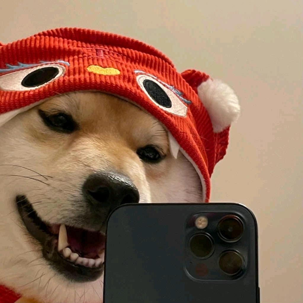 随意