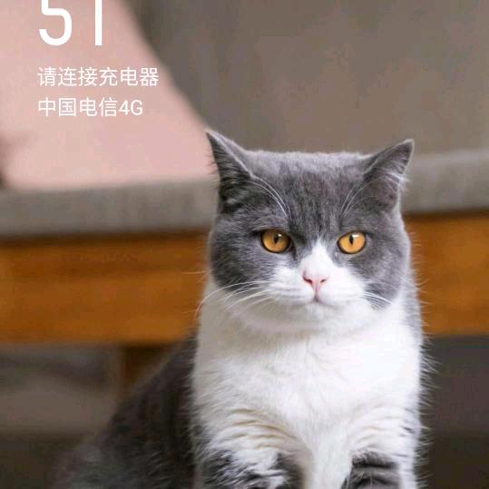 @风雨无阻