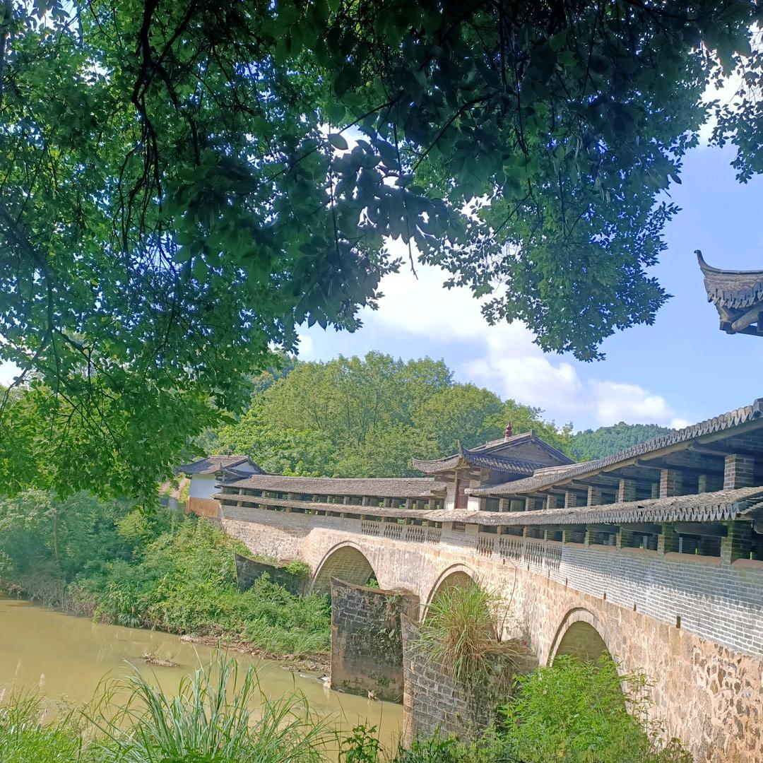 顺李成张❤❤