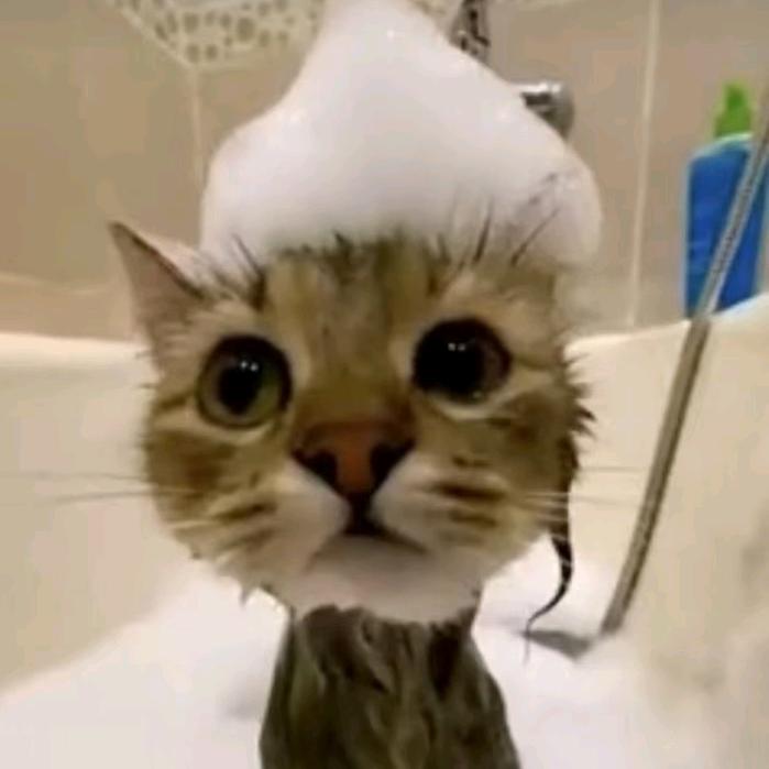 喵喵喵喵喵喵喵喵喵喵喵喵喵喵喵喵喵喵喵喵