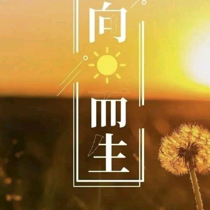 无极限
