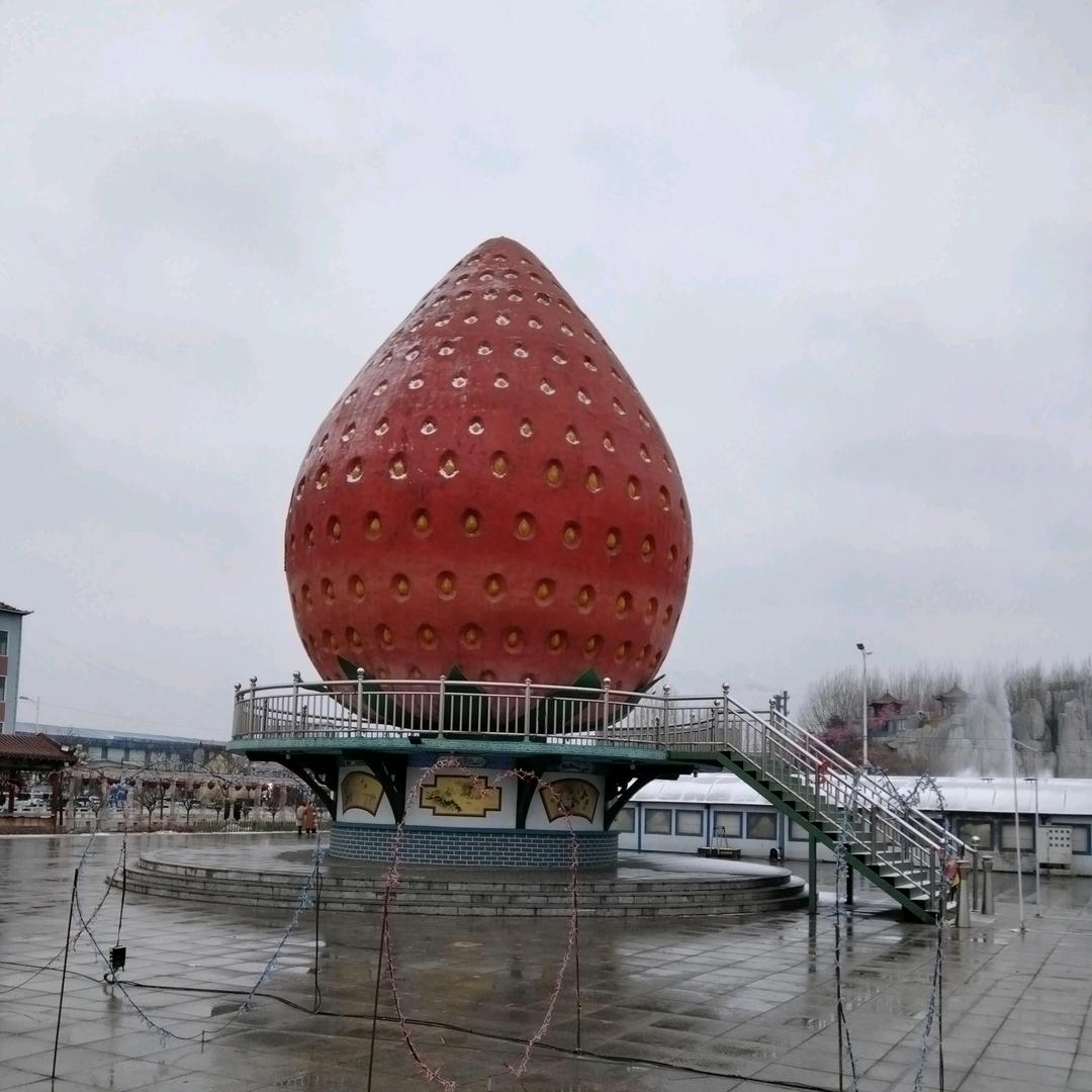 用户2398452900430冬青