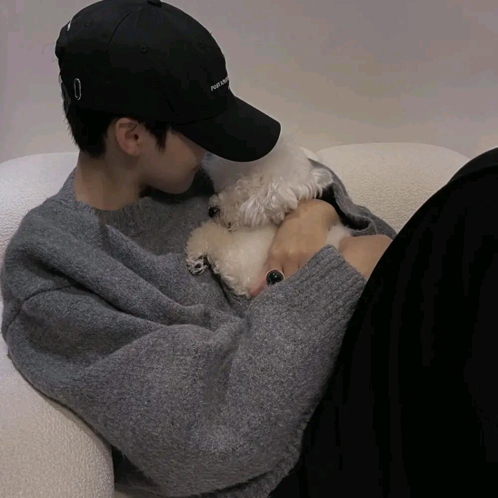 椿树下的雨