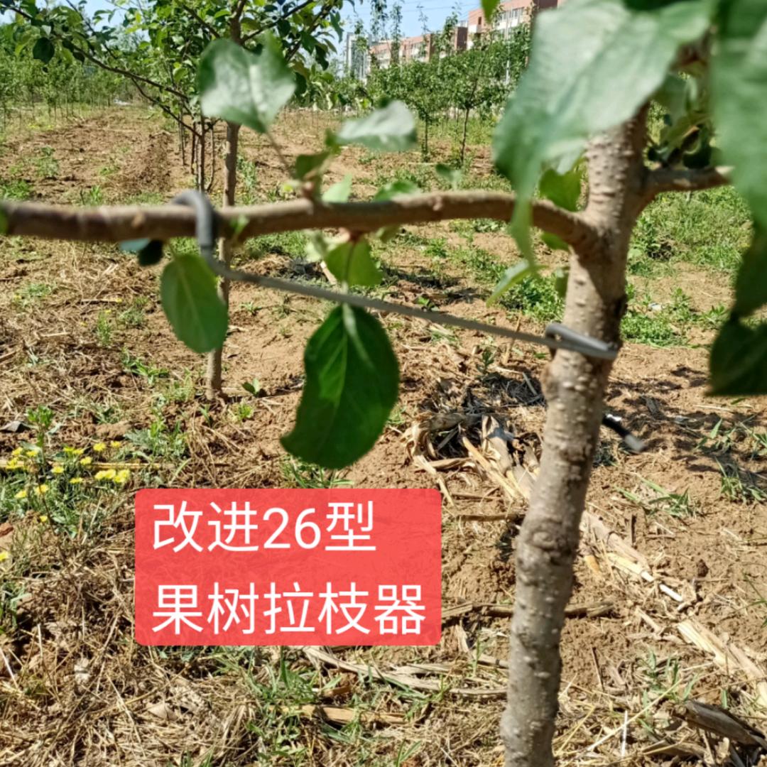 老曹园林工具经营部