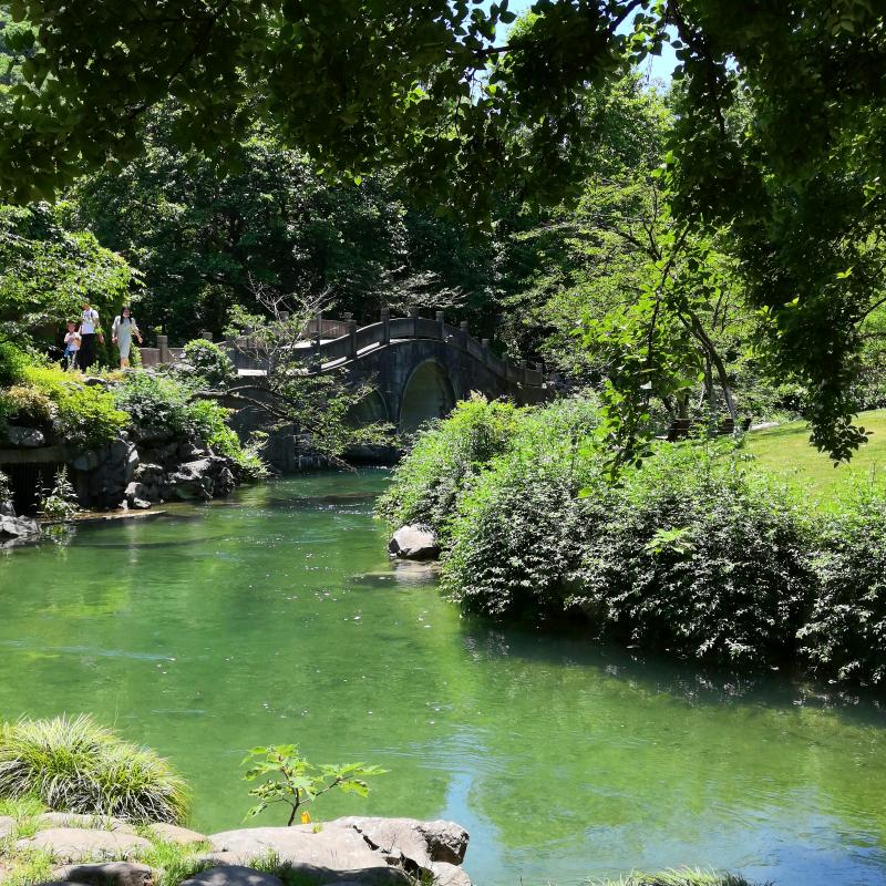 旅游老张