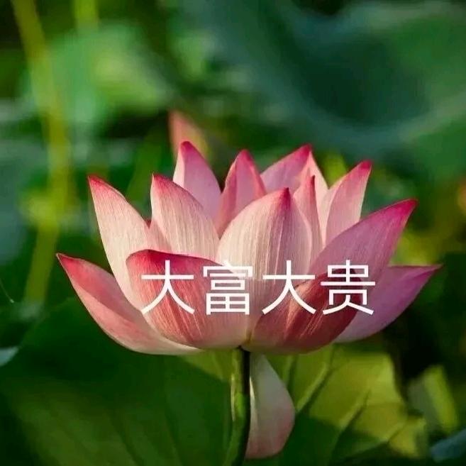 狂吃不胖
