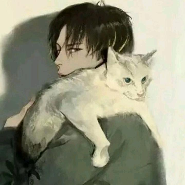 无憾