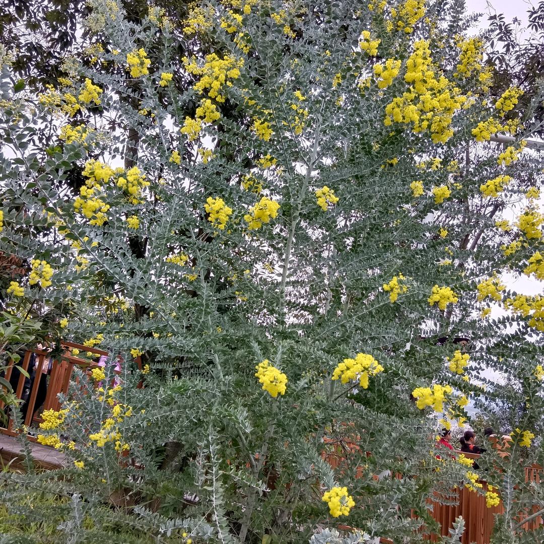 用户549882419976贵