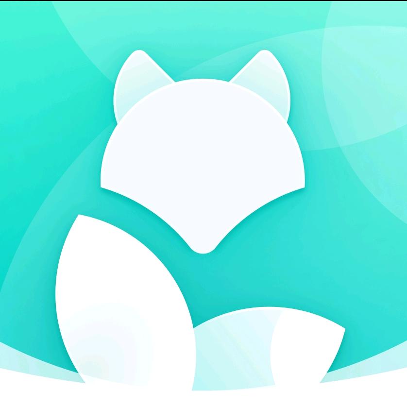 段小狸网络科技