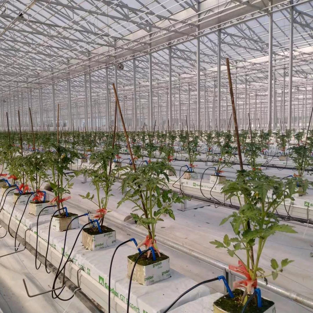 寿光华鑫温室（温室骨架，温室工程）